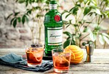 Top 10 gin cocktails